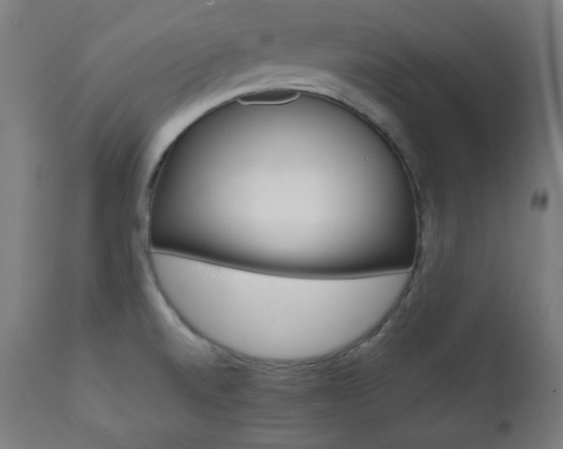 X0000112091520200908041036