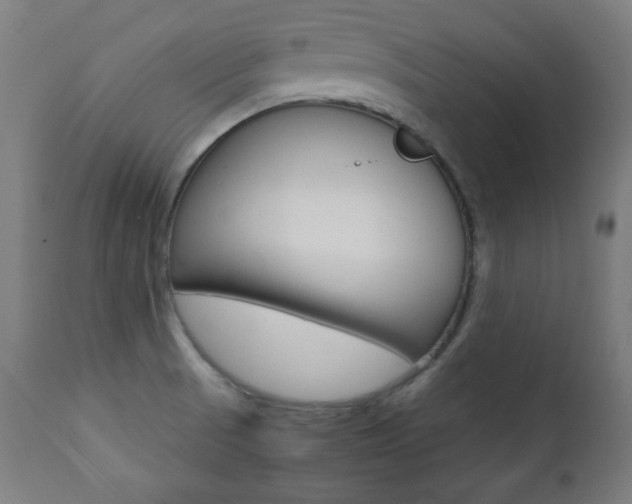 X0000112091521200908041036