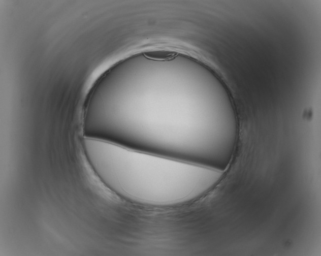 X0000112091522200908041036