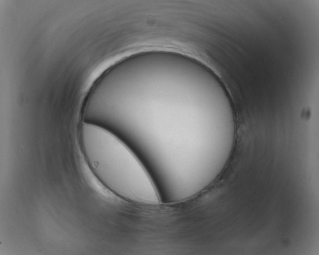 X0000112091523200908041036