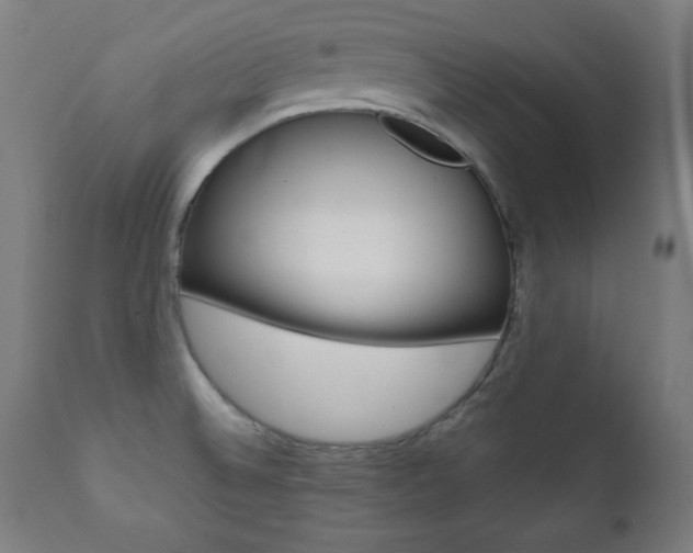 X0000112091524200908041036