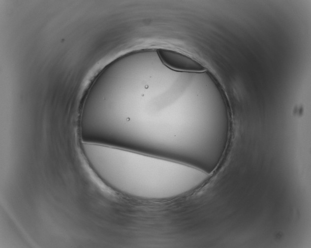 X0000112091525200908041036