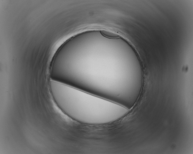 X0000112091527200908041036