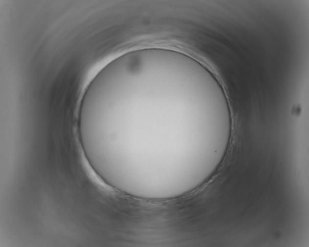 X0000112091528200908041036