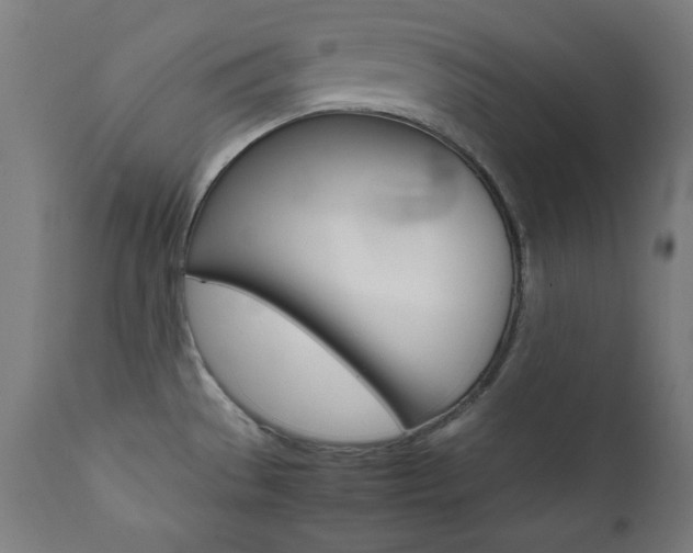X0000112091529200908041036