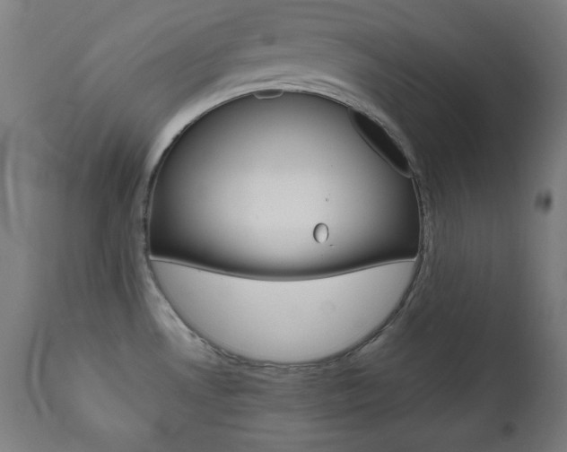 X0000112091530200908041036