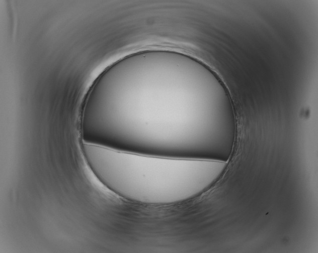 X0000112091531200908041036