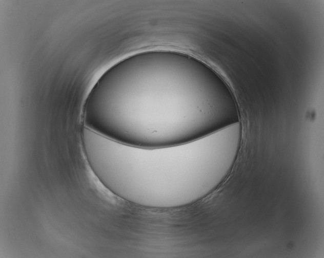 X0000112091532200908041036
