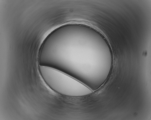 X0000112091533200908041036