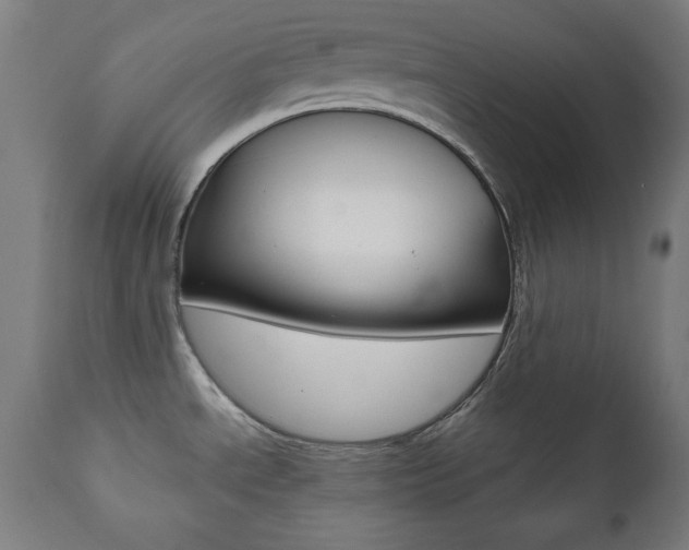X0000112091534200908041036