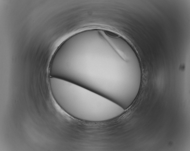 X0000112091535200908041036