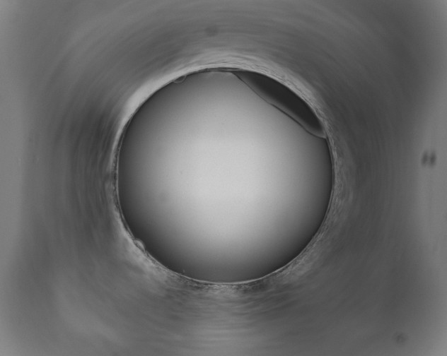 X0000112091536200908041036