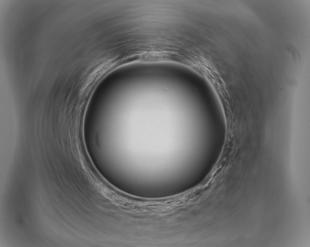 X0000112090001200908041500