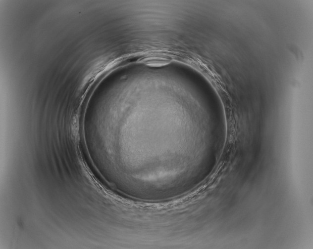 X0000112090002200908041500