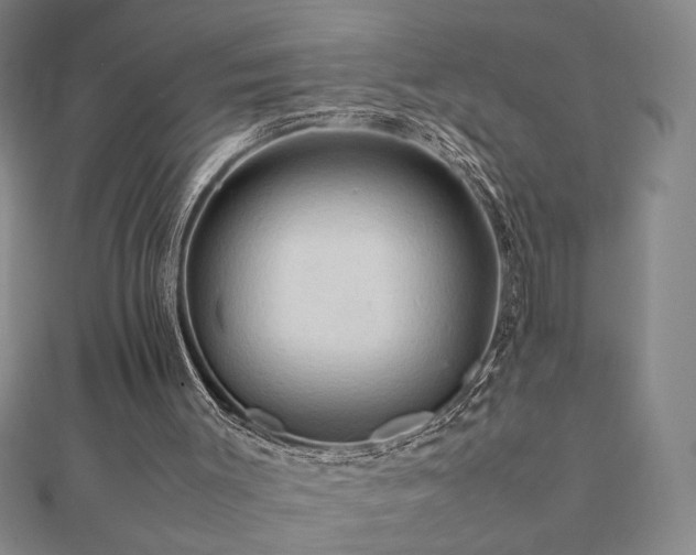 X0000112090003200908041500