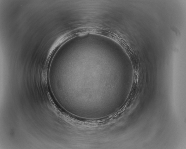 X0000112090004200908041500