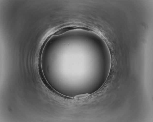 X0000112090007200908041500