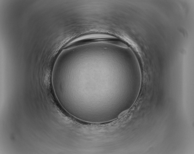 X0000112090009200908041500