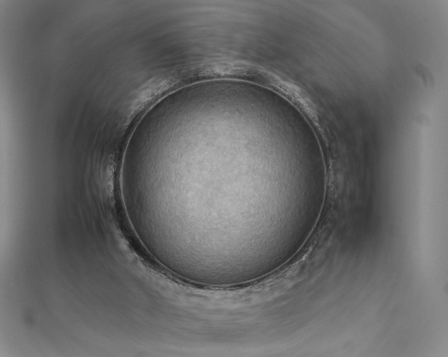 X0000112090010200908041500