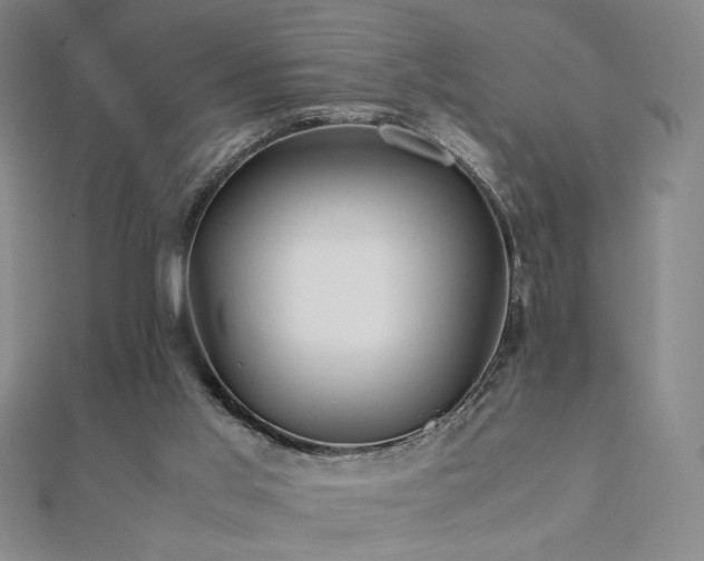 X0000112090013200908041500