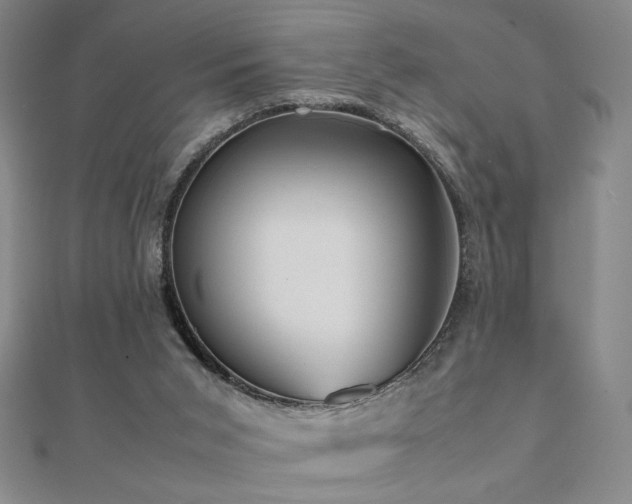 X0000112090015200908041500