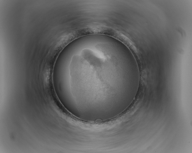 X0000112090018200908041500