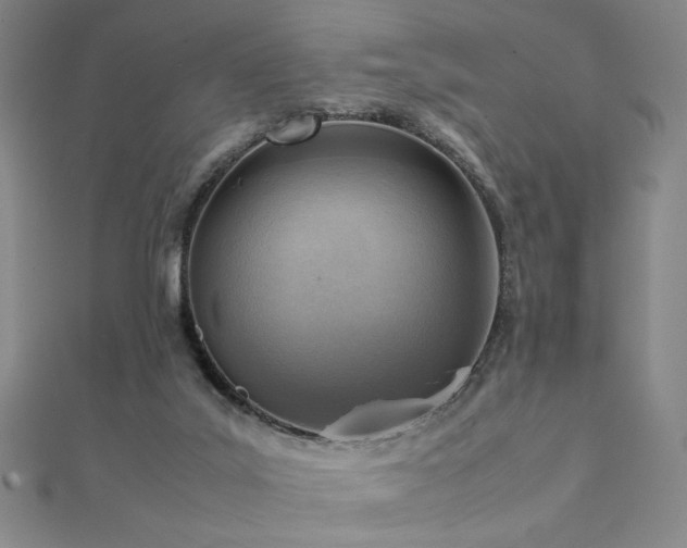 X0000112090019200908041500