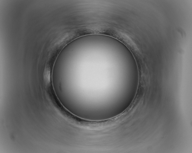 X0000112090021200908041500