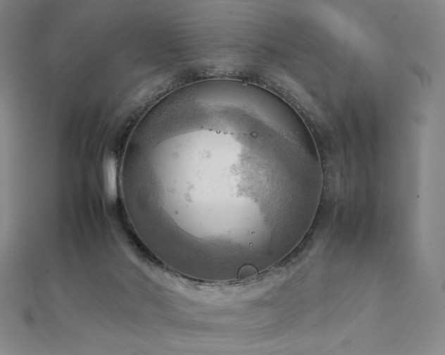 X0000112090022200908041500