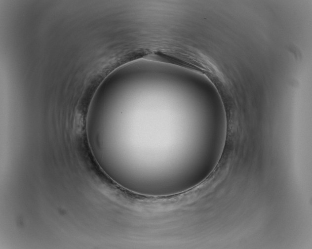 X0000112090025200908041500