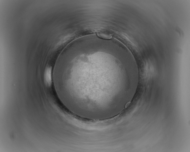 X0000112090028200908041500