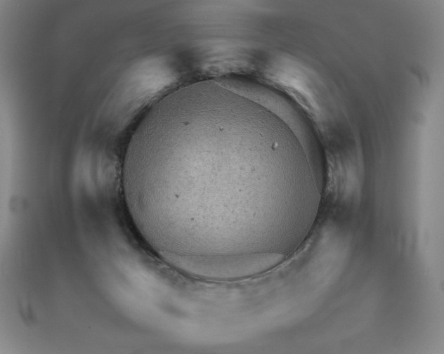 X0000112090029200908041500