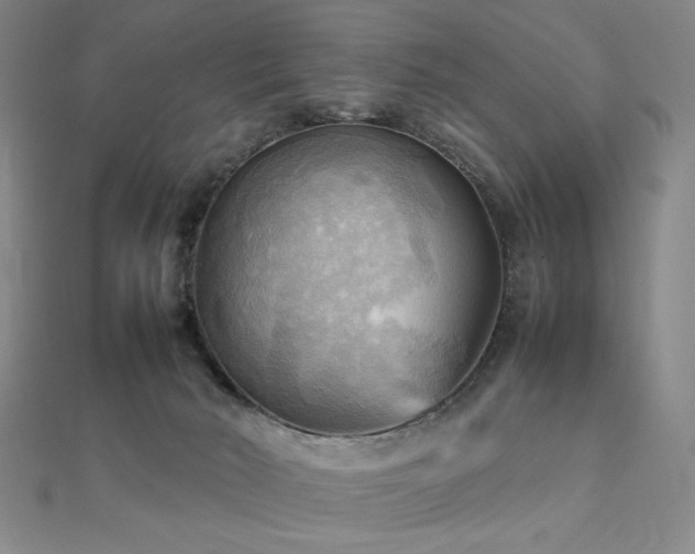 X0000112090030200908041500