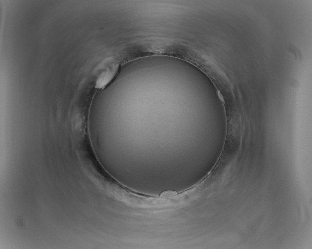 X0000112090031200908041500