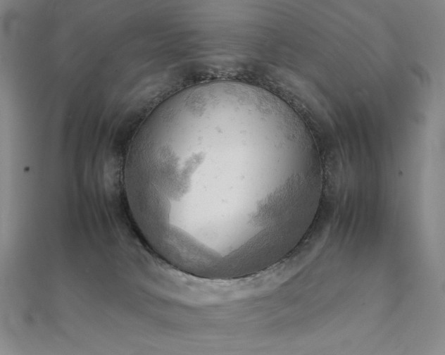 X0000112090034200908041500