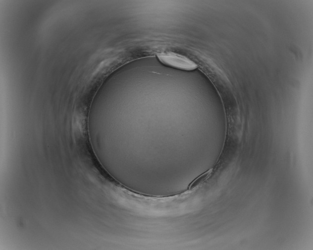 X0000112090035200908041500