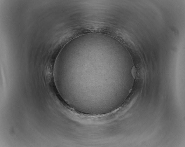 X0000112090040200908041459