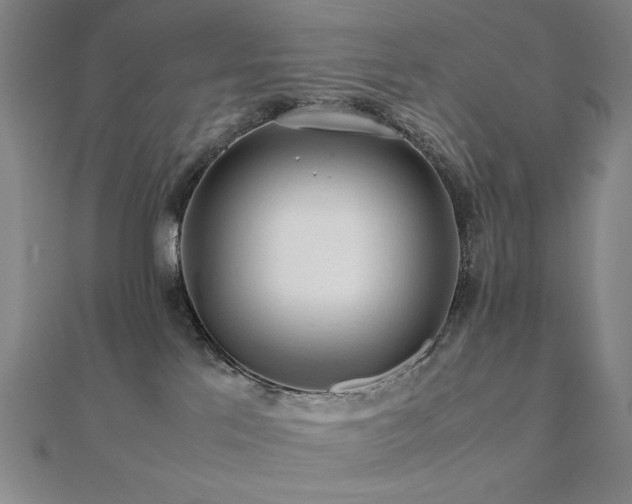 X0000112090041200908041459