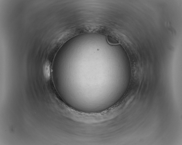 X0000112090042200908041459