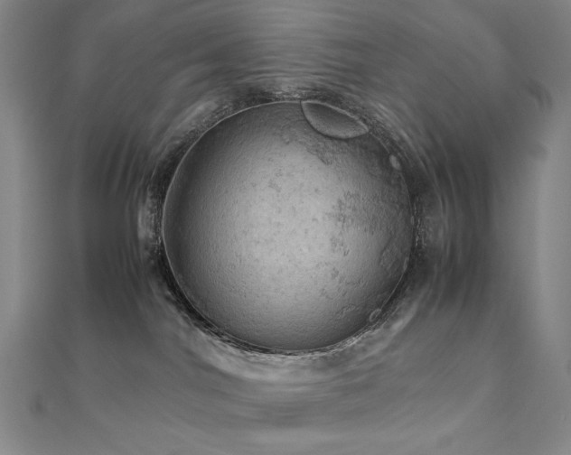 X0000112090044200908041459
