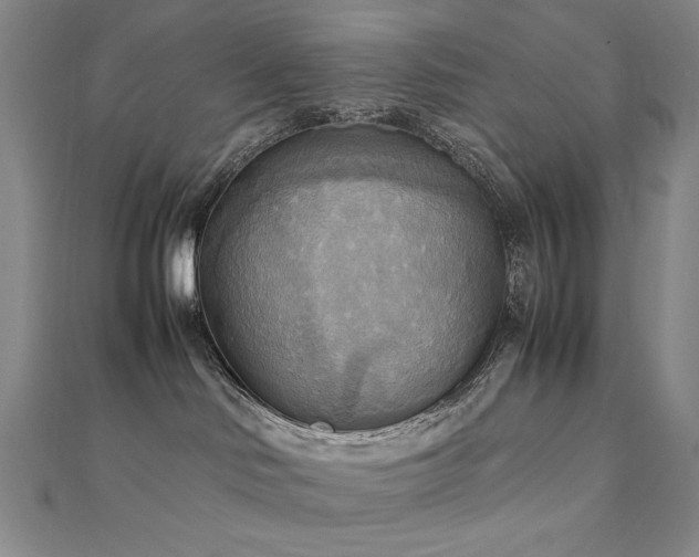 X0000112090046200908041459