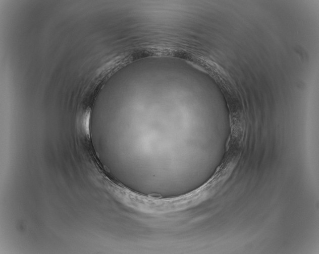 X0000112090047200908041459