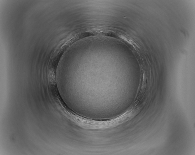 X0000112090048200908041459