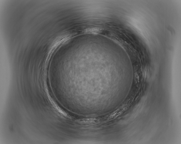 X0000112090049200908041458