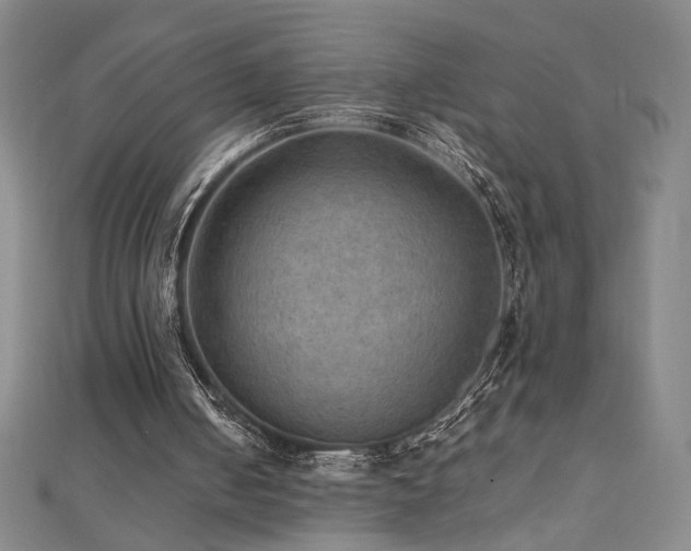 X0000112090050200908041459