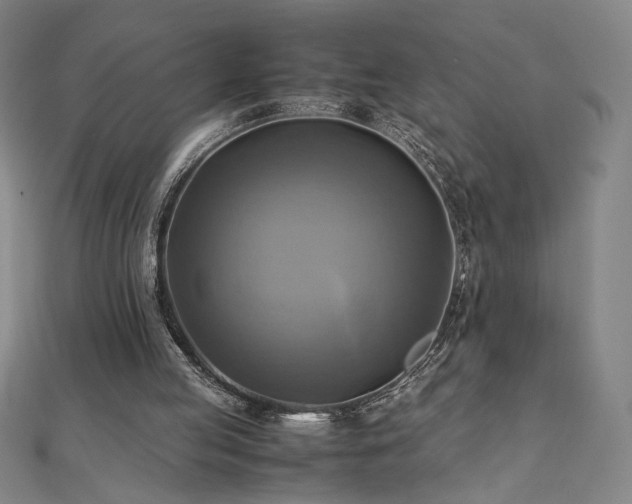 X0000112090053200908041459