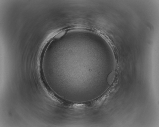 X0000112090055200908041459