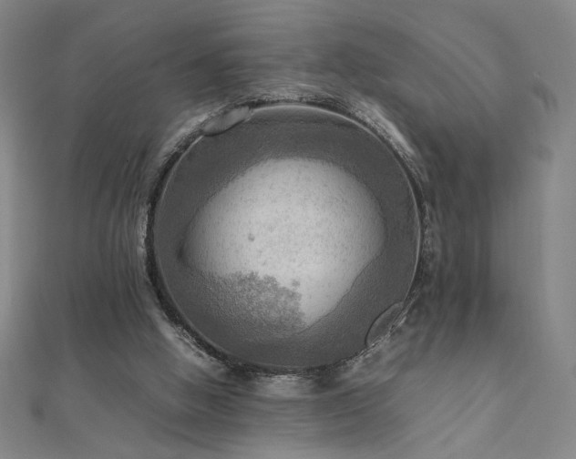X0000112090058200908041459
