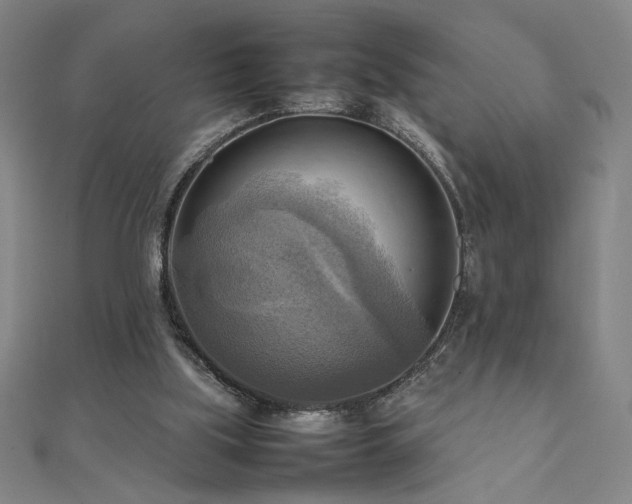X0000112090059200908041459