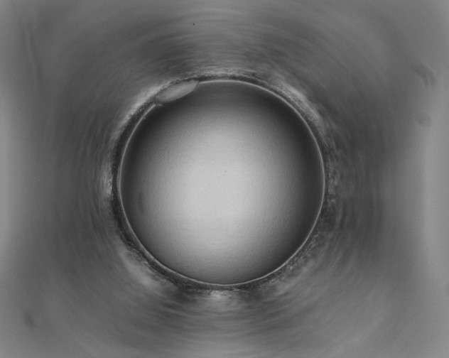 X0000112090060200908041459